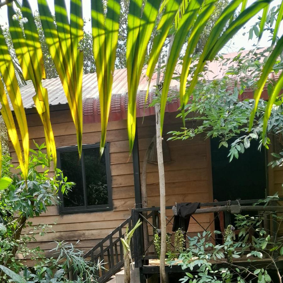 Sok Phen Homestay Siem Reap Exterior foto